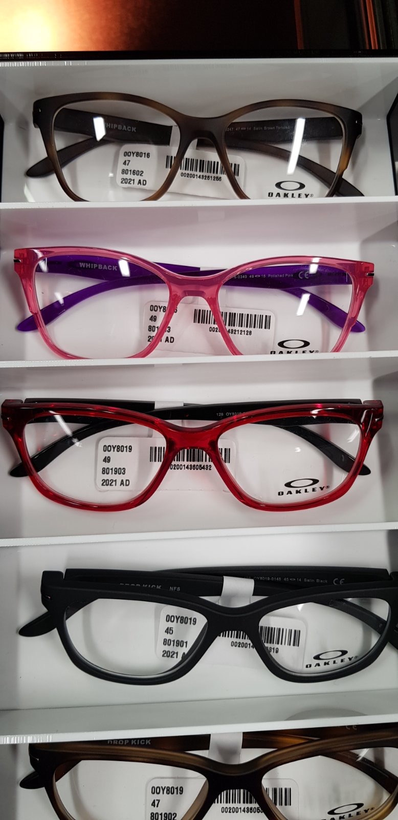 luxottica roadshow